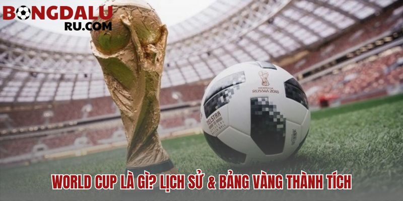 World Cup là gì? những kỳ World Cup đáng nhớ nhất tôn vinh Brazil